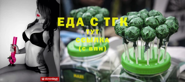 мдпв Бородино
