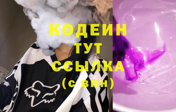 мдпв Бородино
