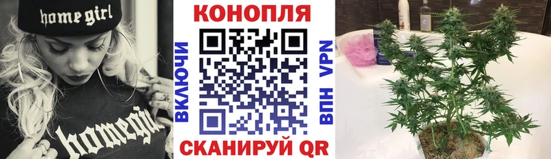 Конопля Amnesia  Балей 